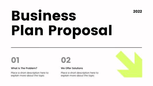 Professional business plan design